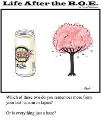 Hanami Memories